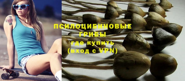 гидропоника Балабаново